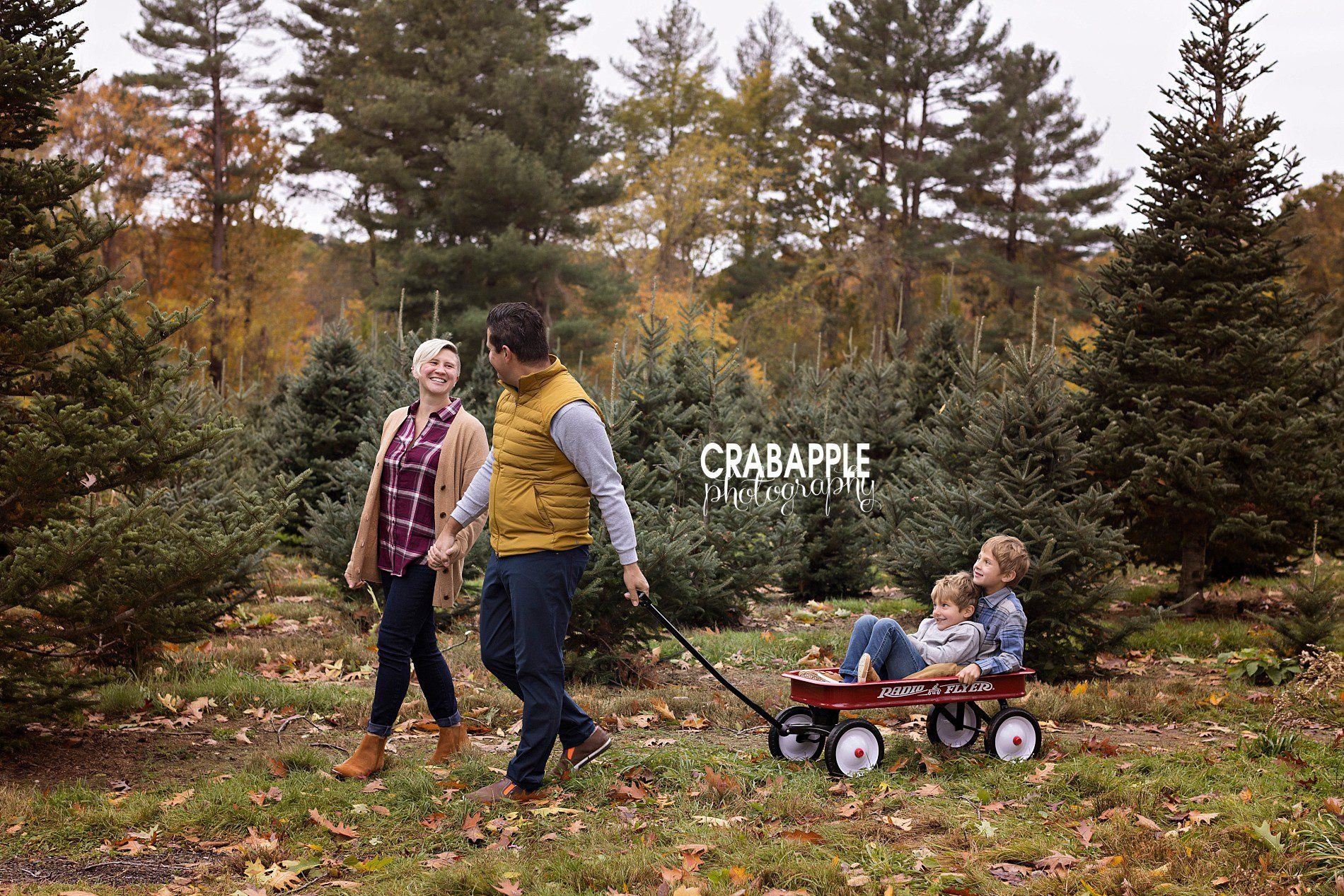 Fun tree farm family photos pulling kids in wagon in fall