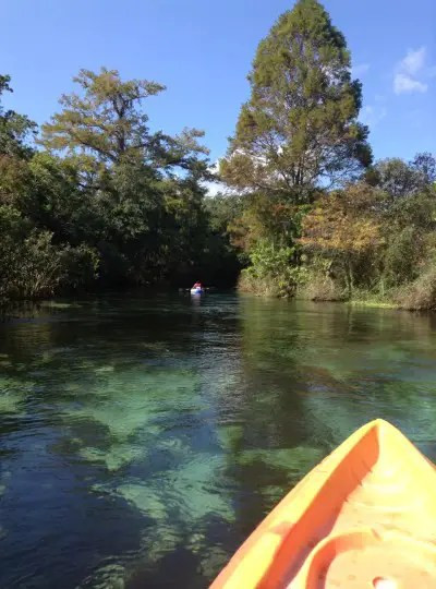 Kayaking at Weeki Wachee Springs River with lush greenery