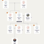 Four generations of relatives on Joe Biden's family tree