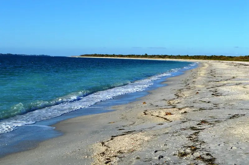 Sandy beach stretch at Cayo Costa State Park with clear water