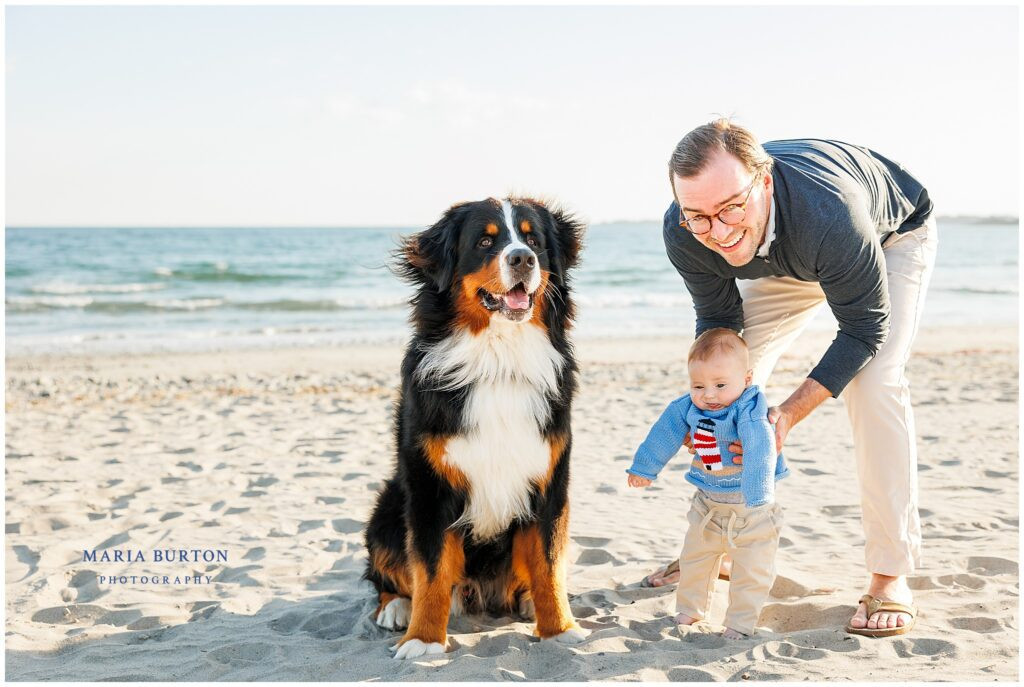 the best family dog is the bernese mountain dog 
