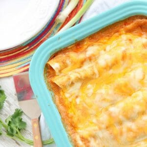 Creamy chicken enchiladas, a kid-friendly dinner recipe, ready to be served.
