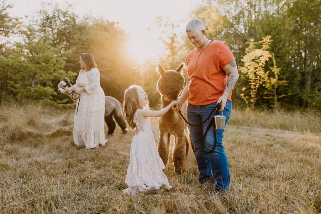 two moms and their daughter wearing bold colors and playing with alpacas