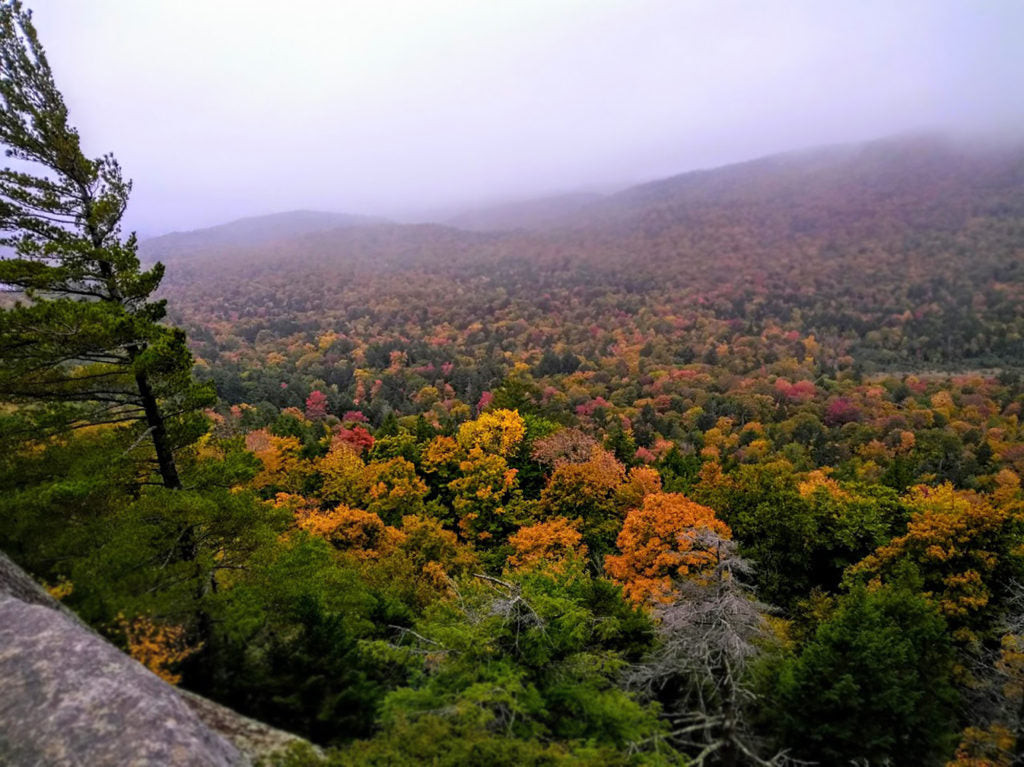 Scenic view of fall foliage from a family campsite in the Adirondacks