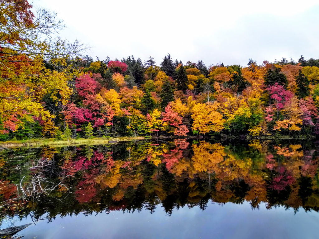 Family enjoying the stunning fall colors at Indian Lake in the Adirondacks