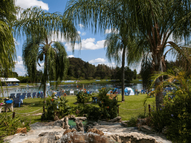 Lakefront scene in North Port, Florida, with lush greenery and clear skies, illustrating the city's natural beauty and outdoor recreational opportunities for families