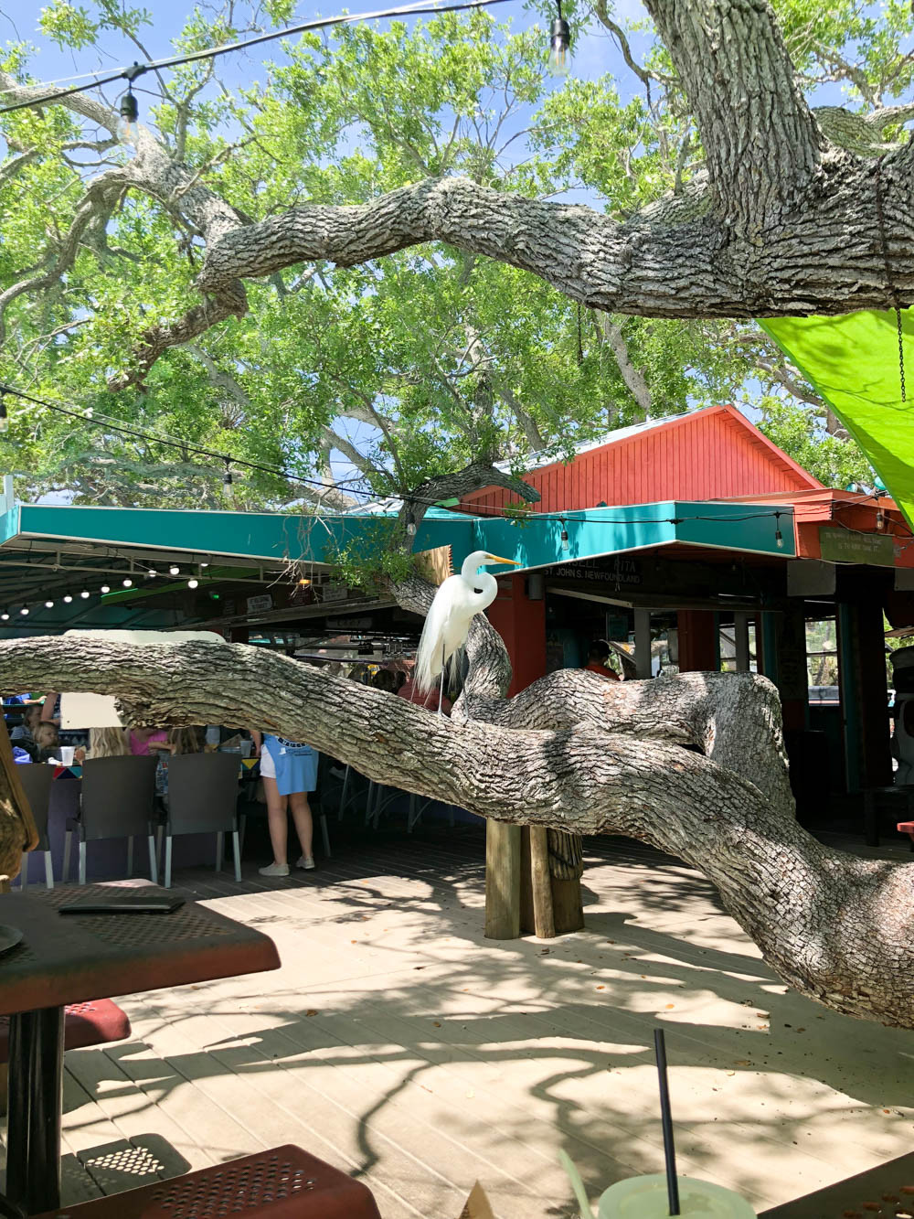 Outdoor seating area at Hidden Treasure Restaurant in Ponce Inlet