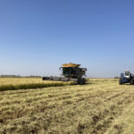A Day at Lundberg Family Farms: Discovering Sustainable Rice Farming