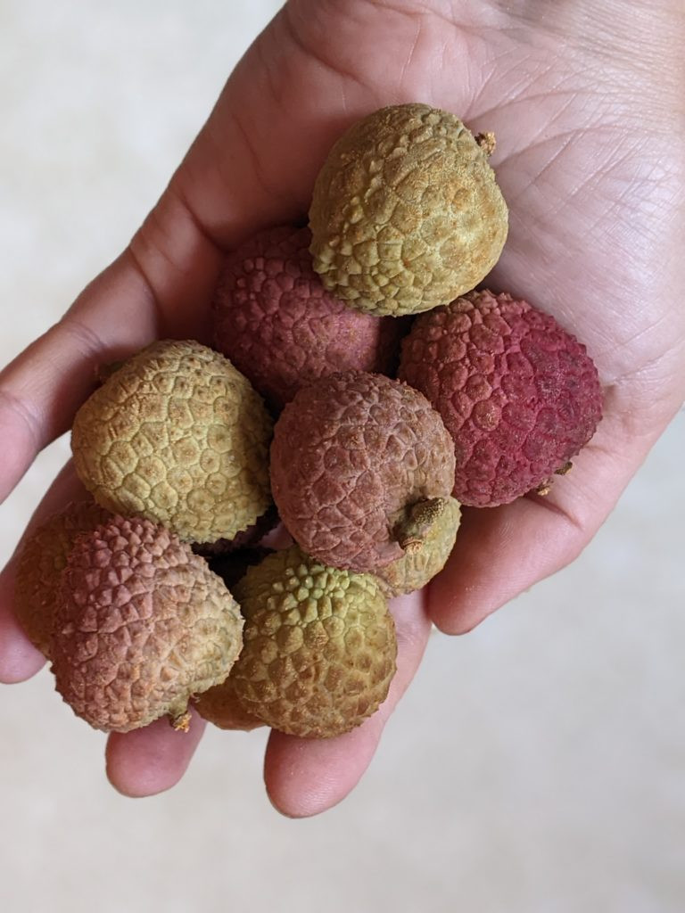 Lychee Fruit with Pink Shell