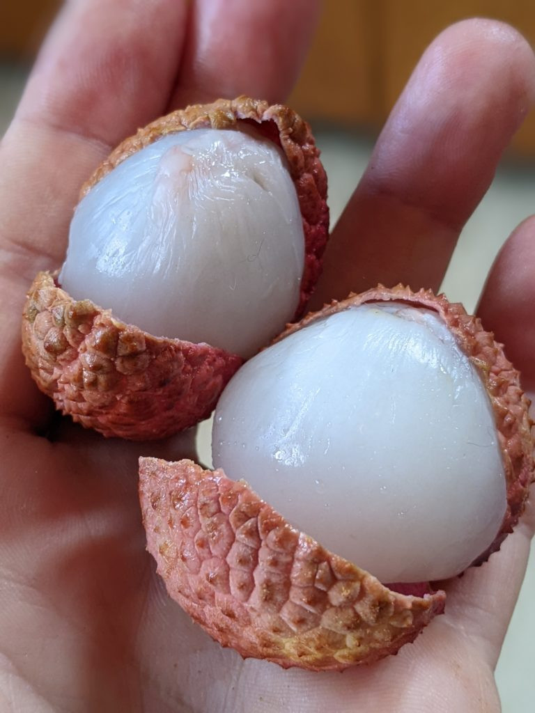 Lychee Aril and Seed