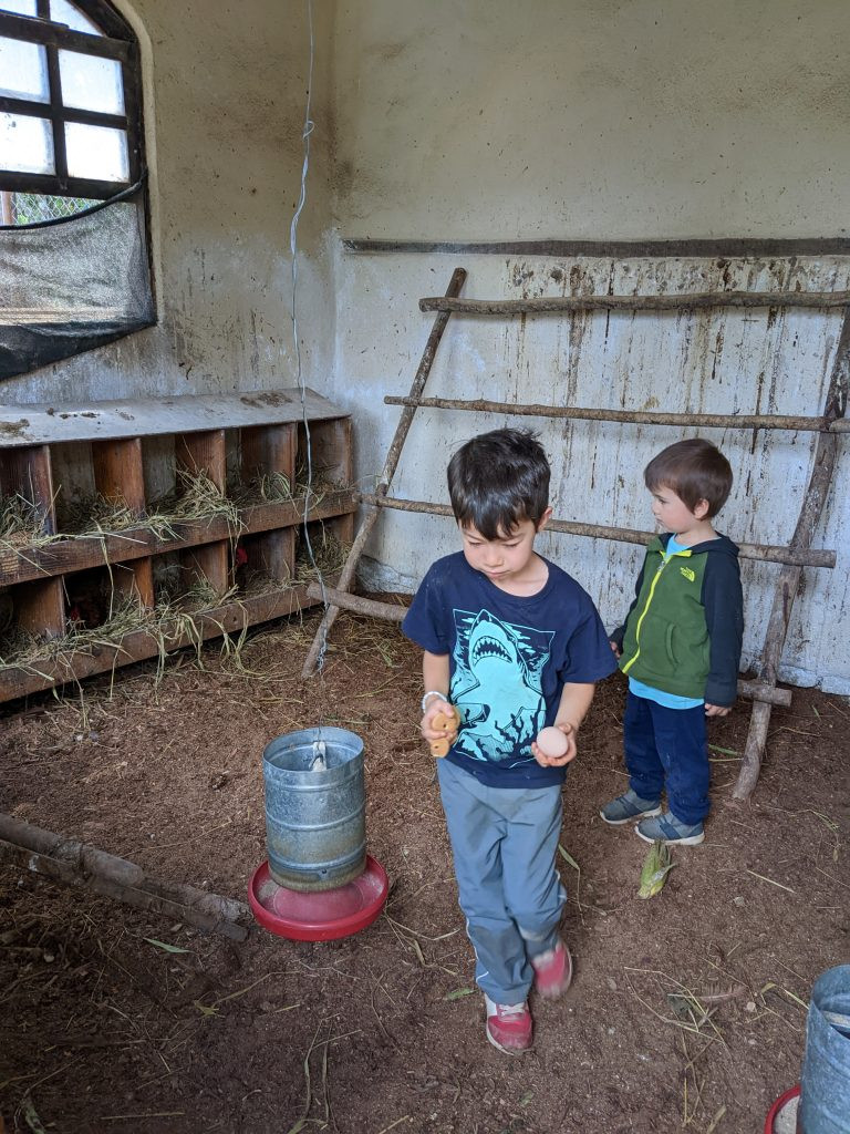 Kids doing chores while volunteering