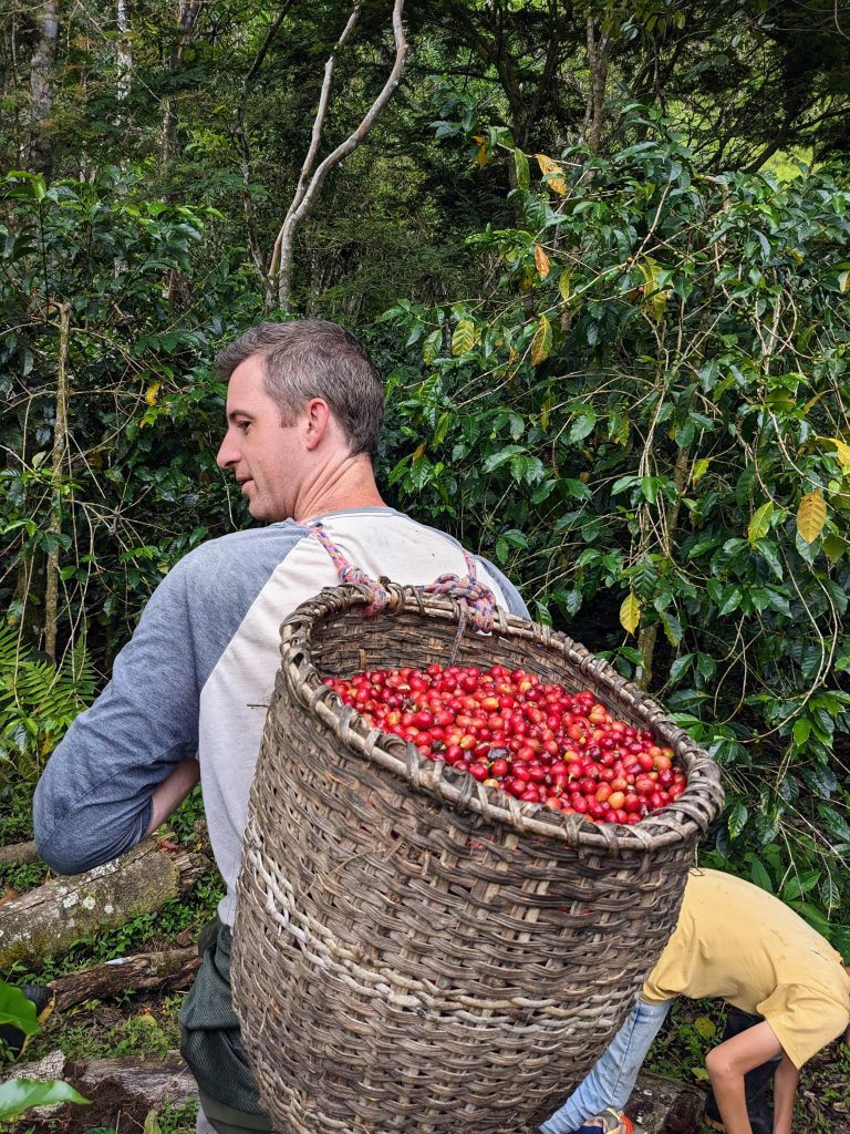 Carrying coffee beans and cow poop
