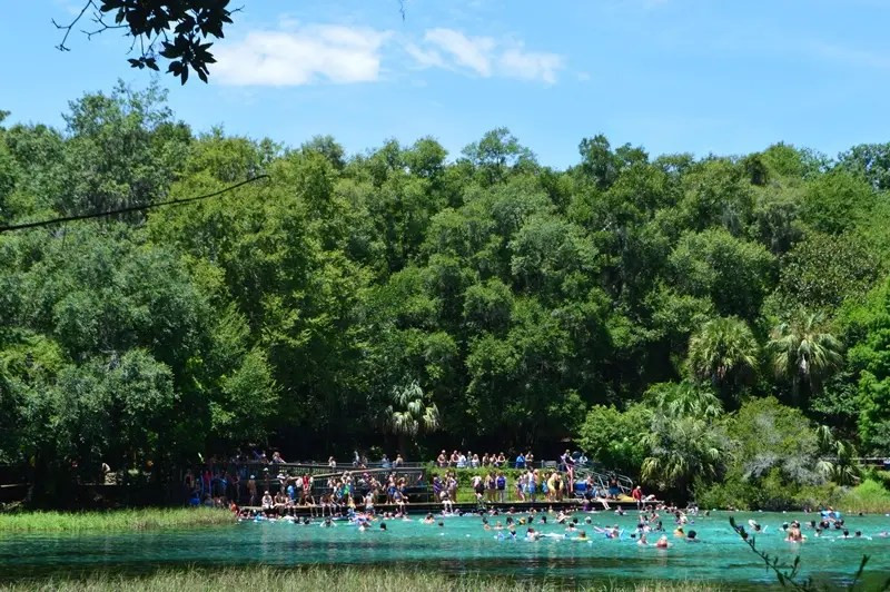 Headsprings at Rainbow Springs State Park