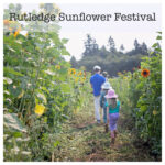 Rutledge Family Farm Sunflower Festival Entrance