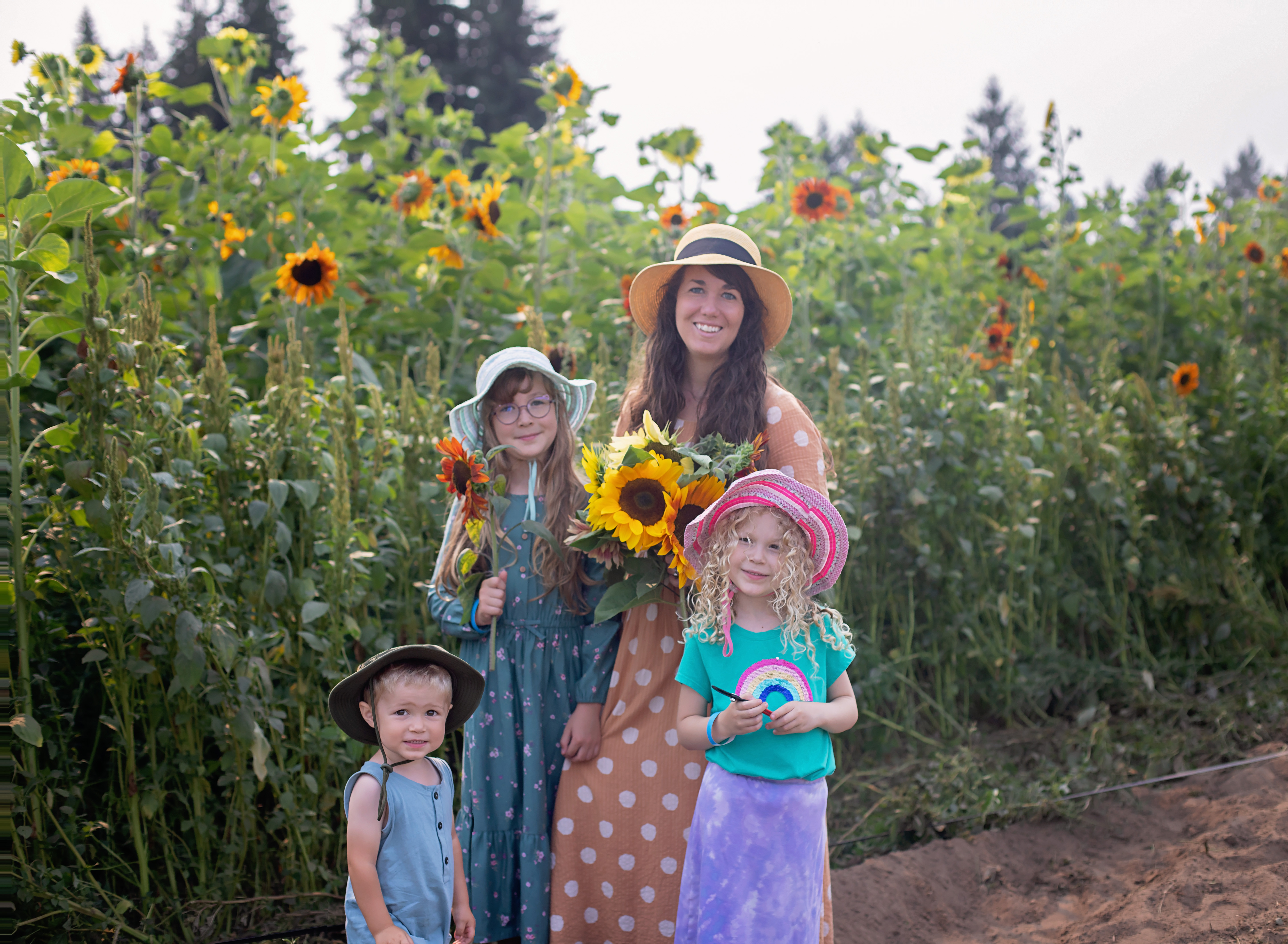 Cutting fresh sunflowers at Rutledge Family Farm Sunflower Festival