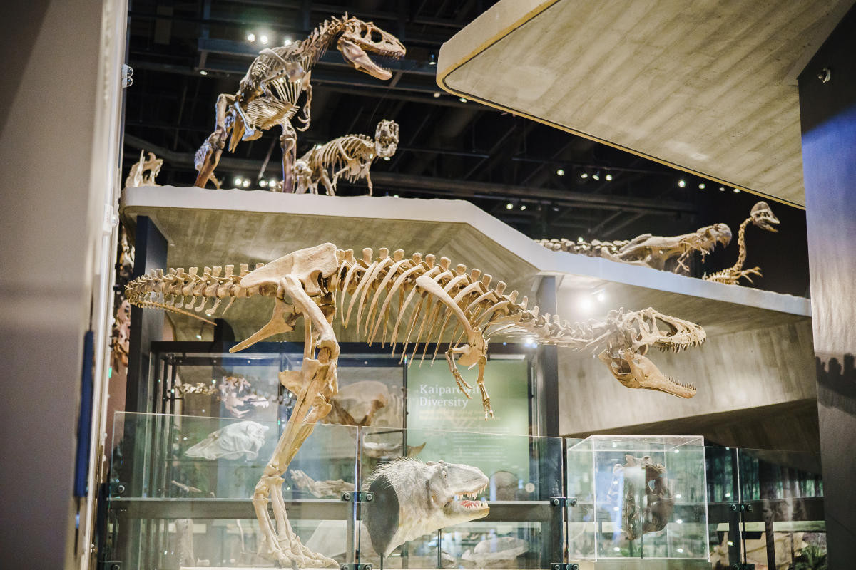 Exterior view of The Natural History Museum of Utah architecture