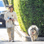 Pax Jolie takes his new dog for a walk in LA