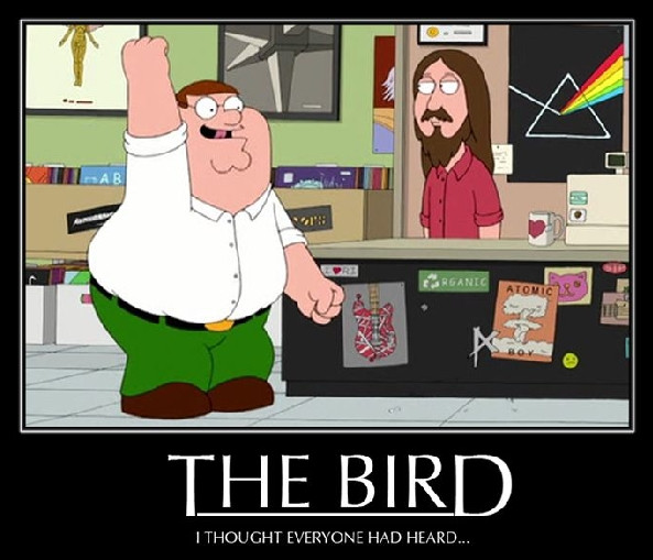 bird
