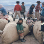 U.S. Federal Census collection details