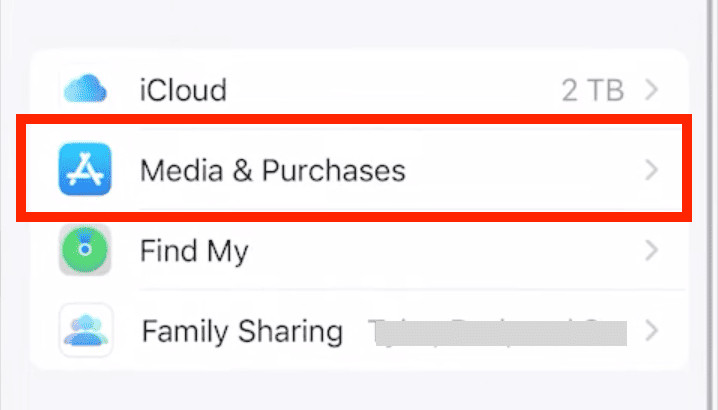 Signing out of Media &amp; Purchases on an iPhone to switch to the correct Apple ID