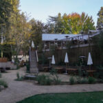 Dawn Ranch in Guerneville with its private 2-bedroom cabins and extensive outdoor spaces provides a perfect setting for families.