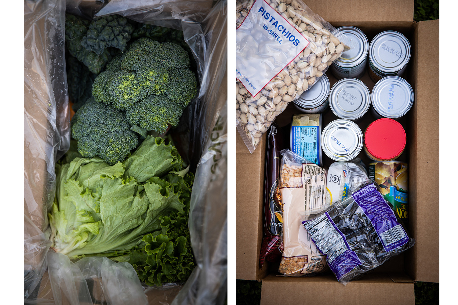 Sacramento Food Bank Volunteers