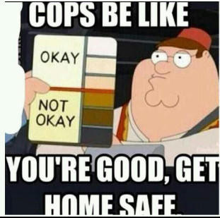 Family Guy Skin Color Chart or Family Guy Race Card refers to a series of memes using an exploitable screenshot from Family Guy showing a toll booth worker holding a "skin tone chart" up to Peter Griffin