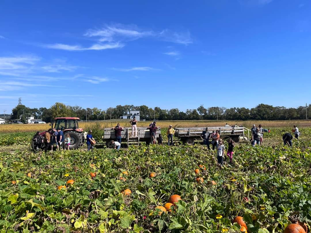 The Browns Family Farm offers a charming and picturesque setting for family photos, allowing you to capture beautiful memories amidst the fall foliage and festive decorations