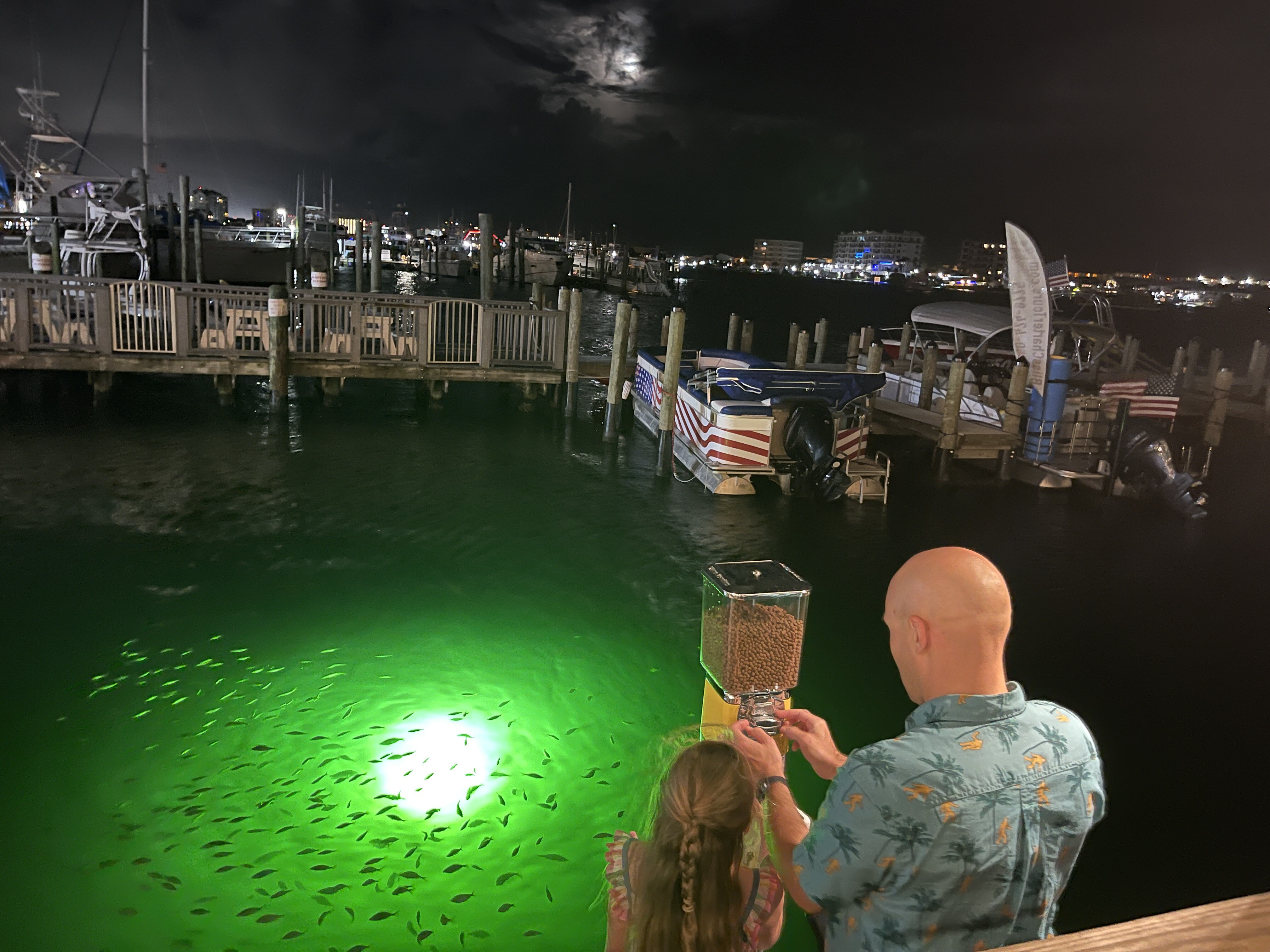 kids feeding fish destin florida harbor