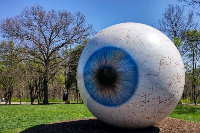 At Laumeier Sculpture Park, you can enjoy more than 60 sculptures al fresco