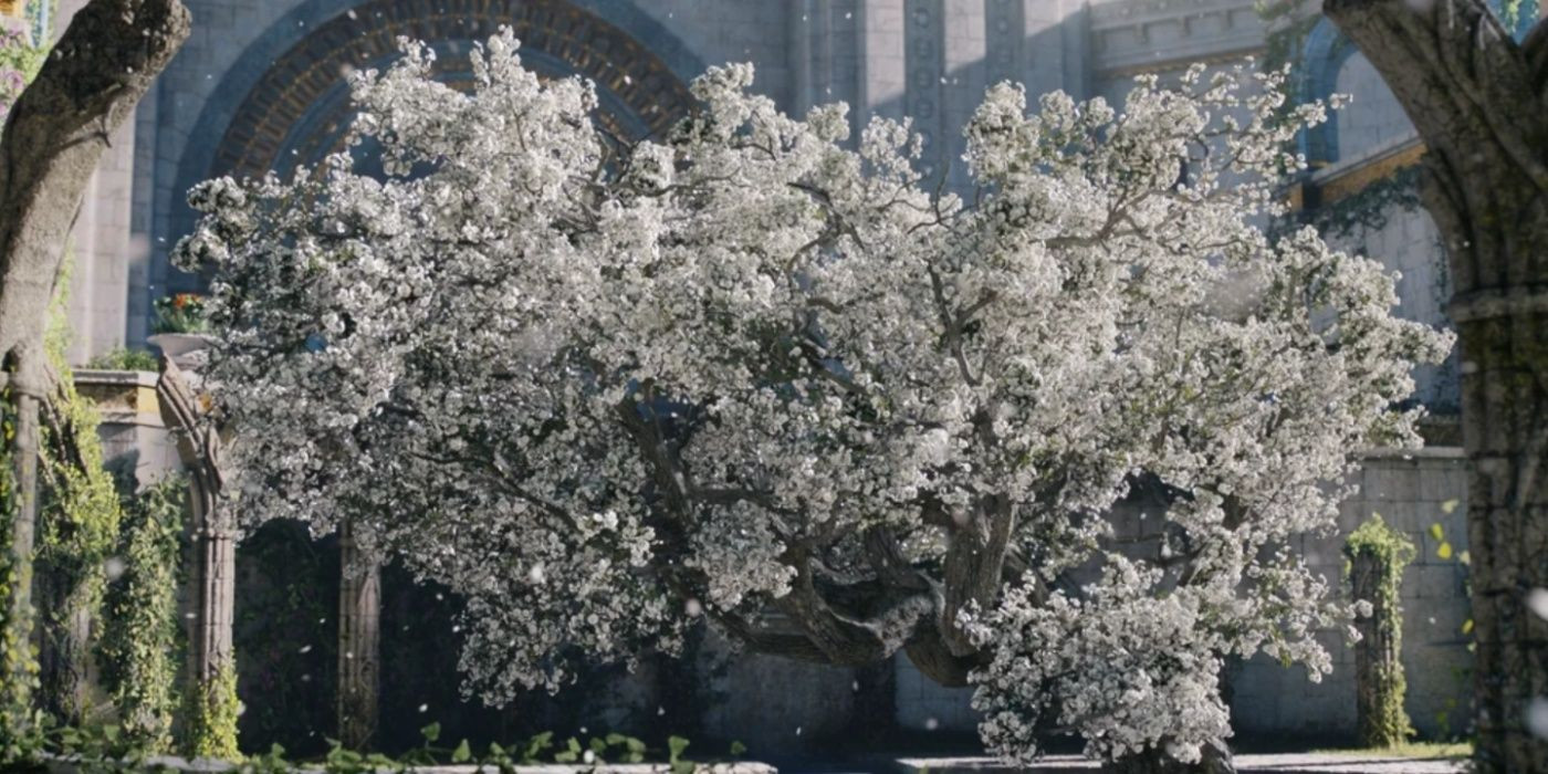 The white tree dubbed Nimloth the Fair in Rings of Power.