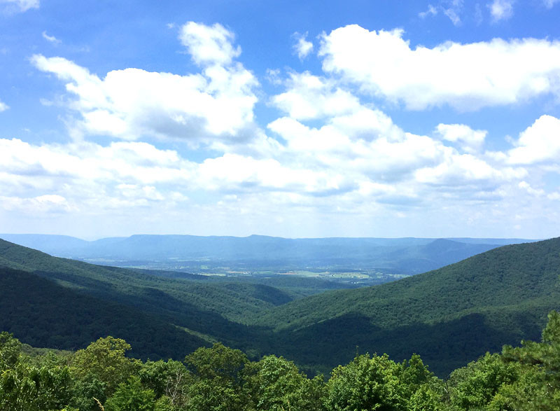 Family enjoying a hike with a scenic mountain view