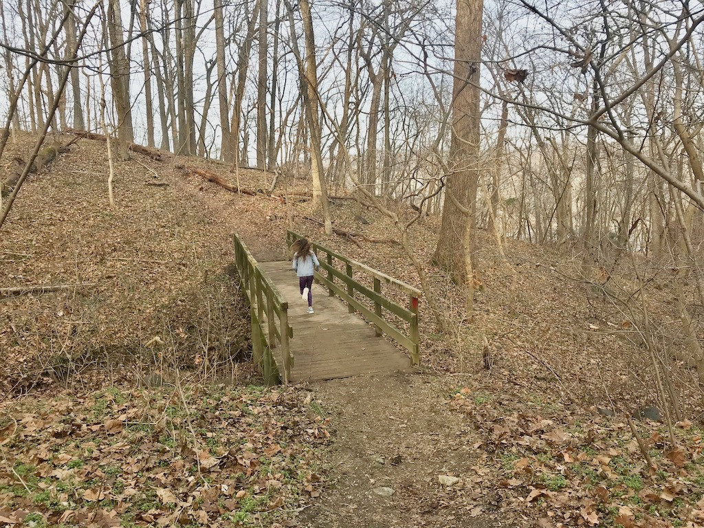 Family on a wooden bridge hiking through a green forest, enjoying a nature walk and bonding time