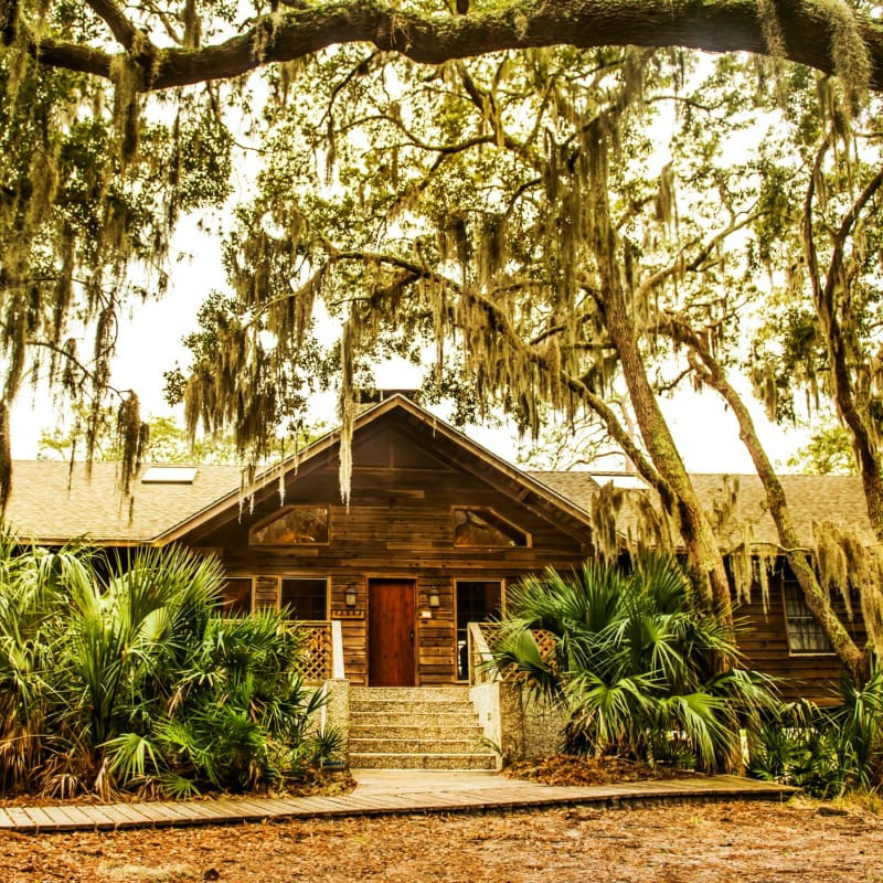 A scenic view of a rustic cottage on Little St. Simons Island, Georgia, showcasing the island's natural beauty and tranquil setting