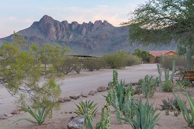 White Stallion Ranch all inclusive resort in USA